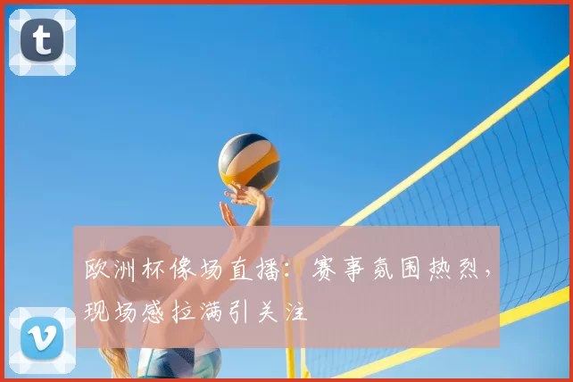 欧洲杯像场直播：赛事氛围热烈，现场感拉满引关注