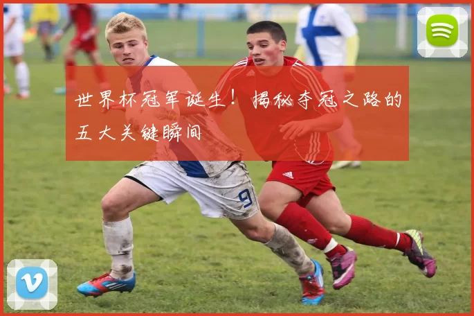 世界杯冠军诞生！揭秘夺冠之路的五大关键瞬间