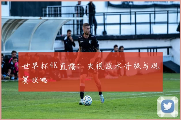 世界杯4K直播：央视技术升级与观赛攻略