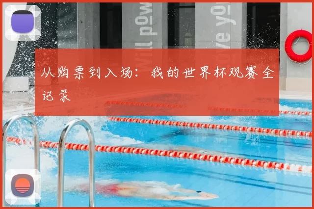 从购票到入场:我的世界杯观赛全记录