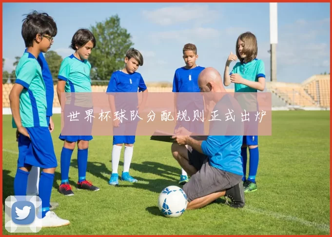 世界杯球队分配规则正式出炉