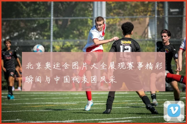 北京奥运会图片大全展现赛事精彩瞬间与中国代表团风采