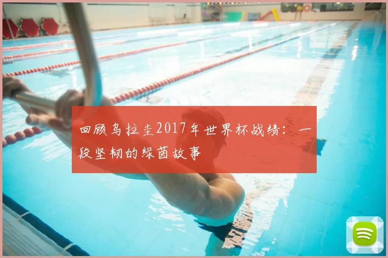 回顾乌拉圭2017年世界杯战绩:一段坚韧的绿茵故事