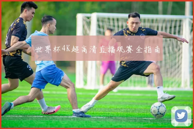 世界杯4K超高清直播观赛全指南