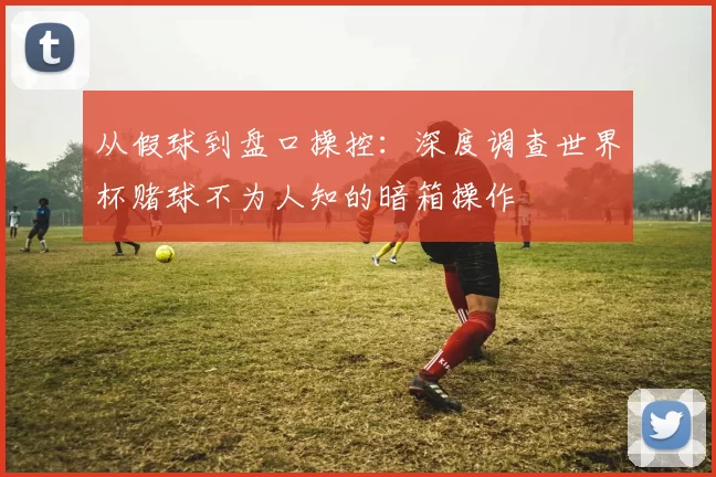 从假球到盘口操控:深度调查世界杯赌球不为人知的暗箱操作