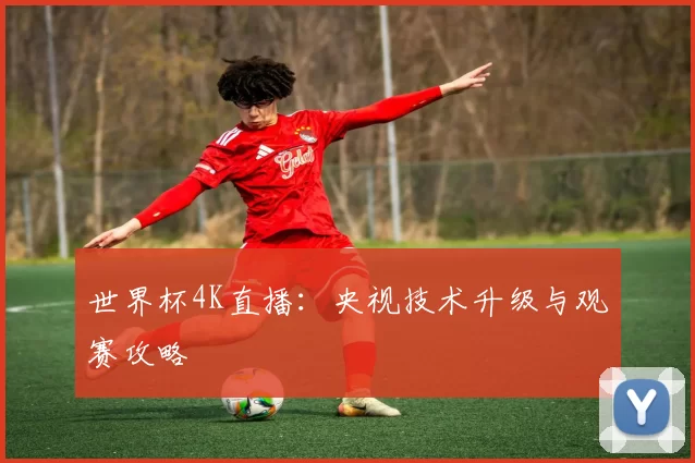 世界杯4K直播：央视技术升级与观赛攻略
