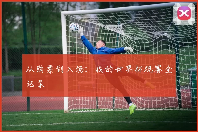 从购票到入场:我的世界杯观赛全记录