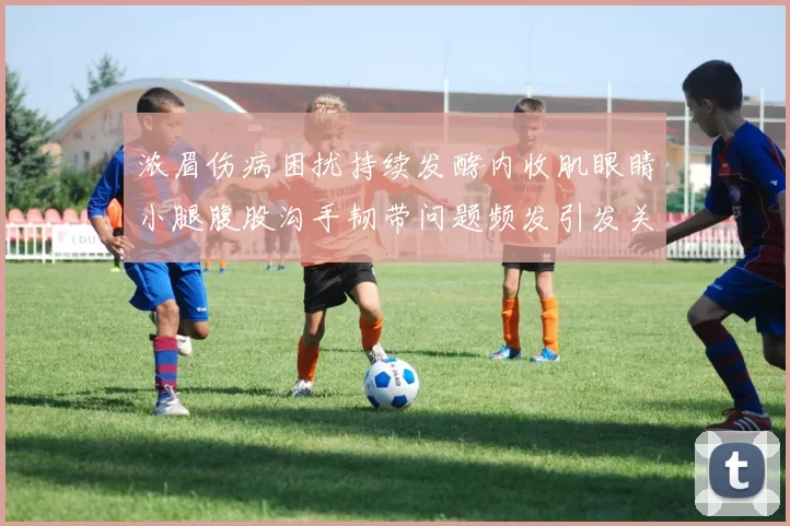 浓眉伤病困扰持续发酵内收肌眼睛小腿腹股沟手韧带问题频发引发关注